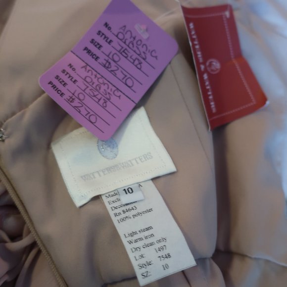 NWT WOMENS WATTERS & WATTERS BLUSH PINK PLEATED SLEEVELESS GOWN 10 * - Picture 14 of 14